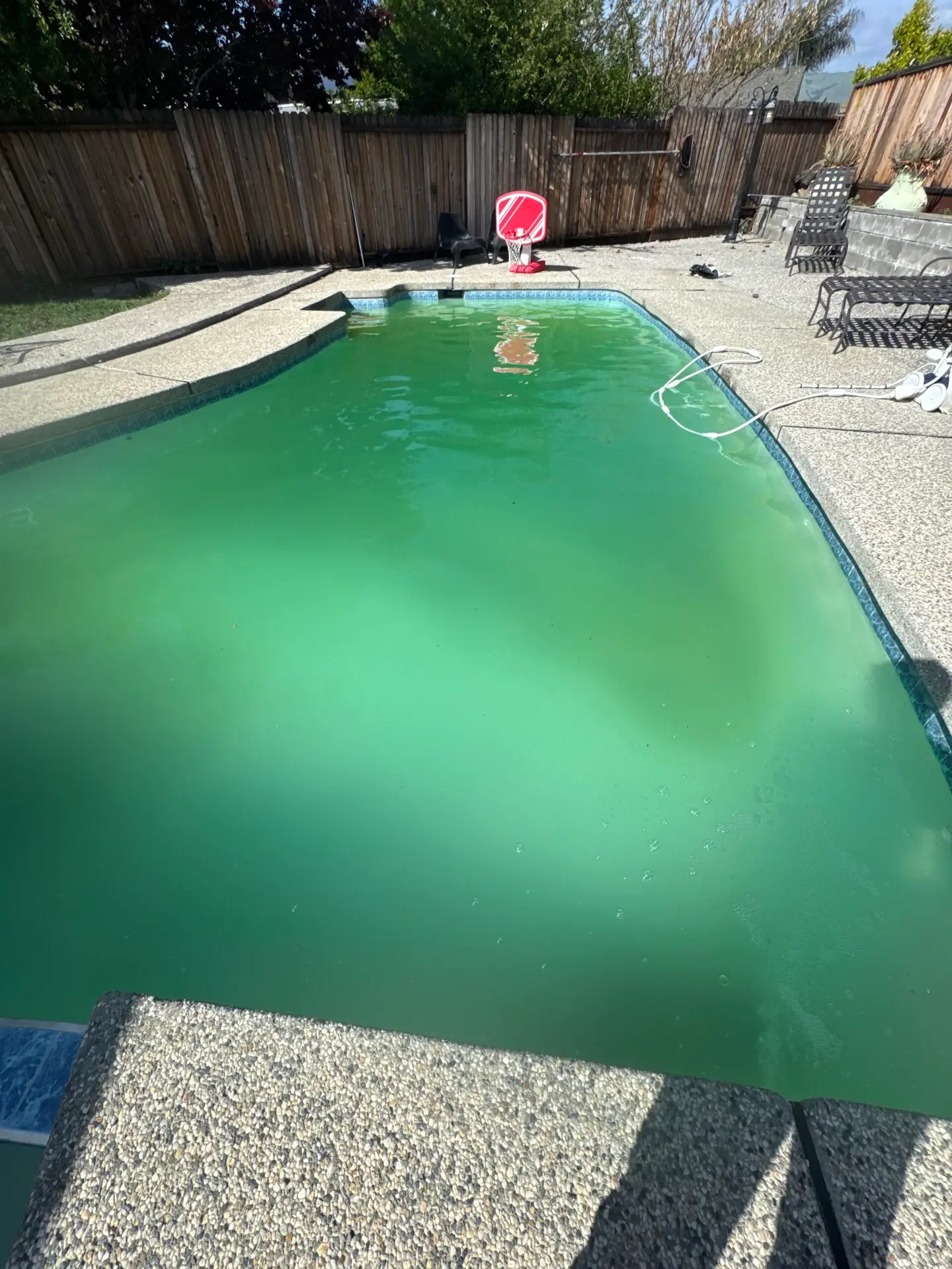 Simple Pool Care technician performing pool service in West Palm Beach, FL