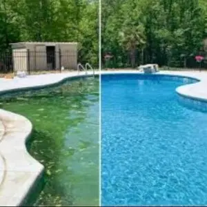Split image of a swimming pool: algae-filled green water on the left, clear blue water on the right showing a before/after contrast.